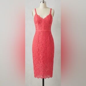 Express Coral Lace Midi Dress